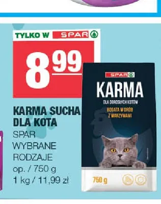 Karma sucha dla kota Spar promocja w SPAR