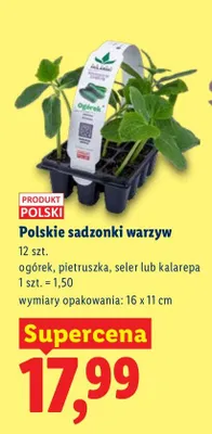 Sadzonki warzyw ogórek, pietruszka, seler lub kalarepę promocja w Lidl