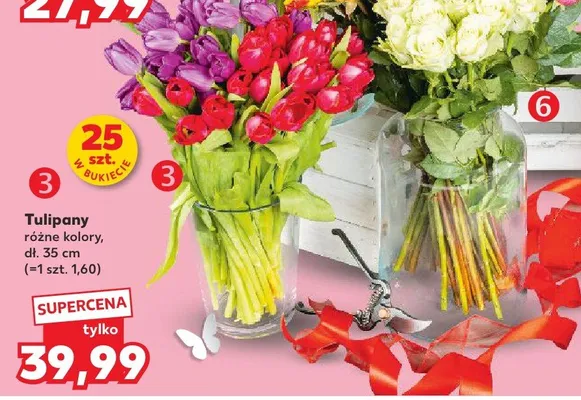 Tulipany czerwone 35 cm promocja w Kaufland