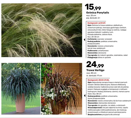 Ostnica Ponytails promocja w Bricomarche