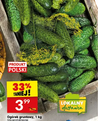 Ogórek gruntowy polski promocja w Twój Market