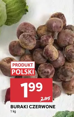 Buraki czerwone promocja w Stokrotka