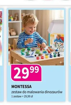 Zestaw do malowania dinozaurów Montessa promocja w Drogerie Polskie