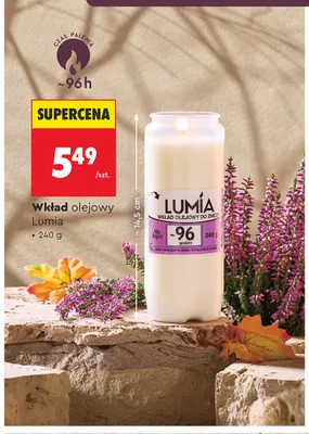 Wkład olejowy Lumia promocja w Biedronka
