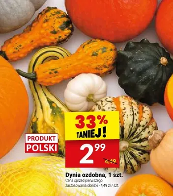 Dynia ozdobna promocja w Twój Market
