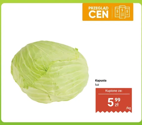Kapusta luz promocja w Dino