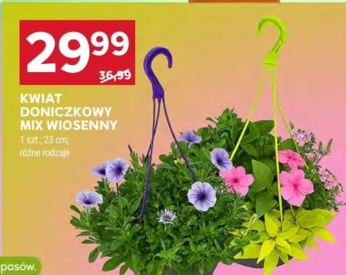 Gazetka Supermarket, strona 47 promocja w Stokrotka
