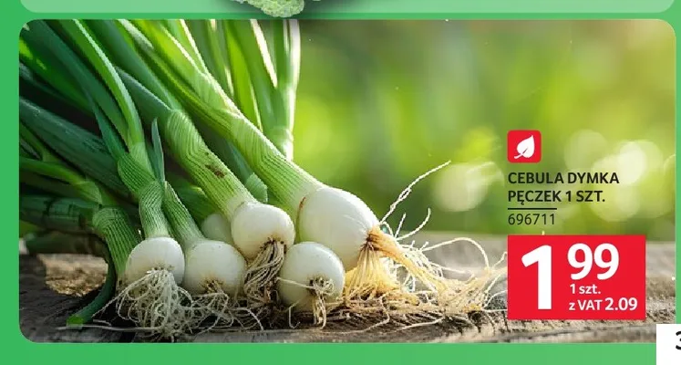 Cebula dymka promocja w Selgros