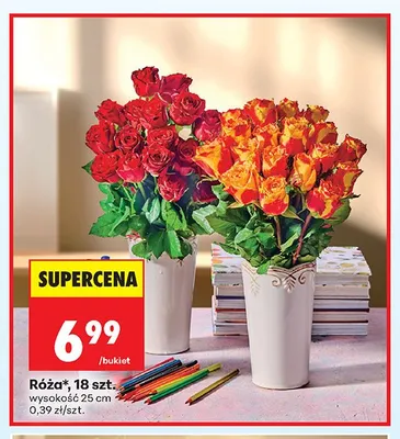 Róża promocja w Biedronka