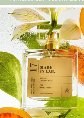 Woda perfumowana MADE IN LAB 17 promocja w Biedronka