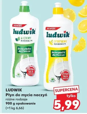 Płyn do mycia naczyń różne rodzaje promocja w Kaufland