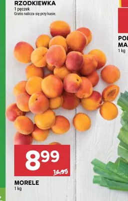 Morele promocja w Stokrotka