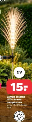 Lampa solarna LED trawa pampasowa promocja w Netto