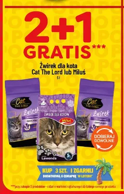 Żwirek dla kota Cat The Lord promocja w POLOmarket