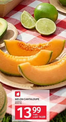 Melon cantaloupe promocja w Selgros
