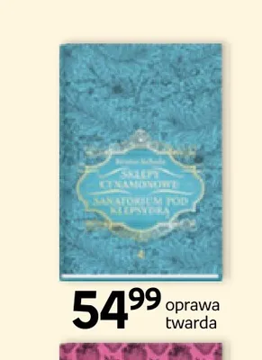 Książka Sklepy cynamonowe Sanatorium pod klepsydrą oprawa twarda promocja w Empik