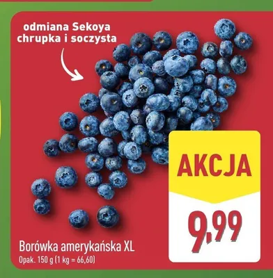 Borówka amerykańska XL promocja w Aldi