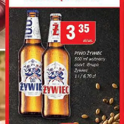 Piwo Żywiec promocja w Chorten