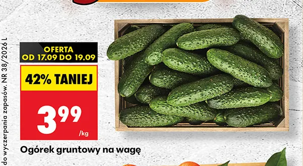 Ogórek gruntowy na wagę promocja w Biedronka