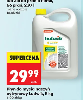 Płyn do mycia naczyń cytrynowy Ludwik promocja w Biedronka