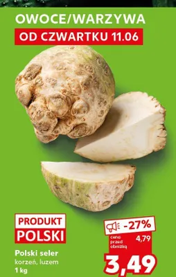 Seler korzeń polski promocja w Kaufland