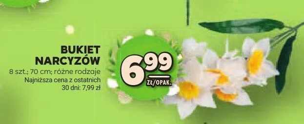 Bukiet narcyzów 8szt. 70cm różne rodzaje promocja w Stokrotka