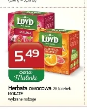 Herbata owocowa Loyd promocja w MALINKA