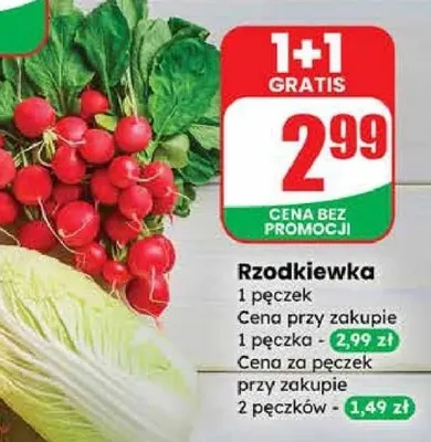 Rzodkiewka promocja w Dino