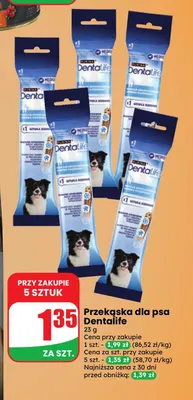 Przekąska dla psa Dentalife promocja w Dino