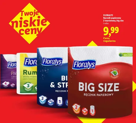 Ręcznik papierowy 2-warstwowy big size Floralys promocja w Lidl