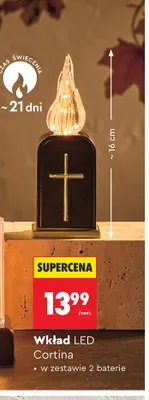Wkład LED Cortina promocja w Biedronka