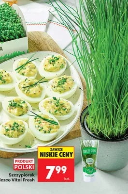 Szczypiorek w doniczce promocja w Biedronka