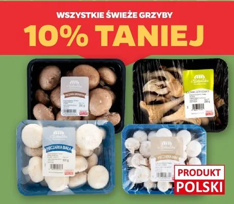 Grzyby świeże Netto promocja w Netto