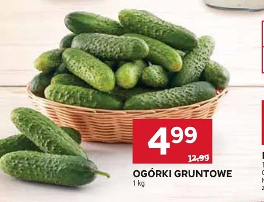 Ogórki gruntowe promocja w Stokrotka