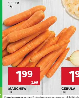 Marchew promocja w Stokrotka