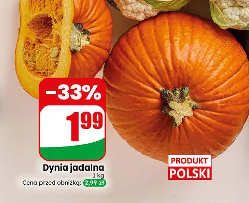 Dynia jadalna promocja w Dino