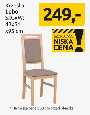 Krzesło Lobo SxGxW: 43x51 x95 cm promocja w Black Red White