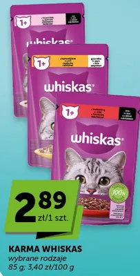 Karma wybrane rodzaje promocja w ABC