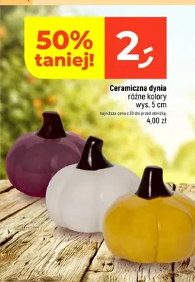 Ceramiczna dynia promocja w Dealz