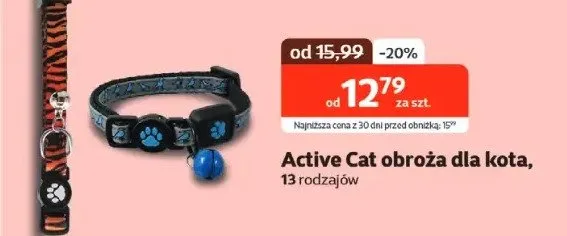 Obroża dla kota promocja w KAKADU