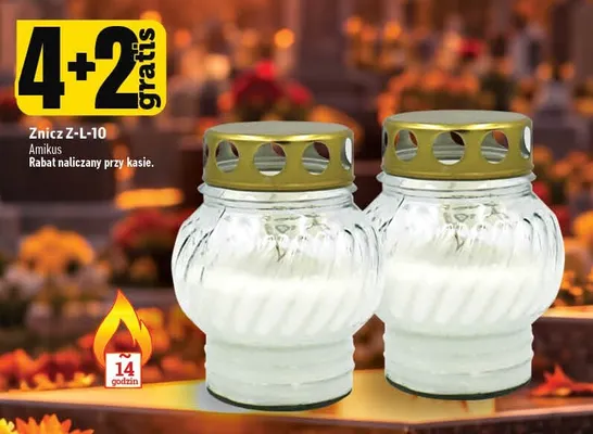 Znicz Z-L-10 Amikus promocja w TOPAZ