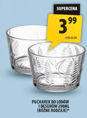 Pucharek do lodów i deserów 290ml promocja w Arhelan