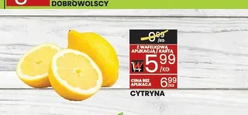 Cytryny promocja w Wafelek