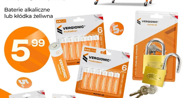 Baterie alkaliczne Aa Vergionic promocja w POLOmarket