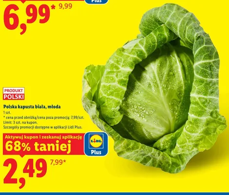 Polska kapusta biała młoda promocja w Lidl