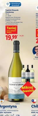 Wino Trapiche Vineyards Chardonnay promocja w Lidl