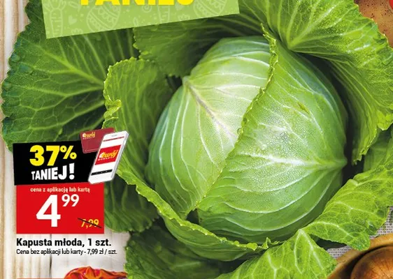 Kapusta młoda promocja w Twój Market