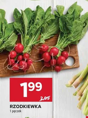 Rzodkiewka promocja w Stokrotka