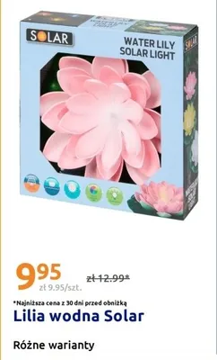 Lilia wodna Solar promocja w Action