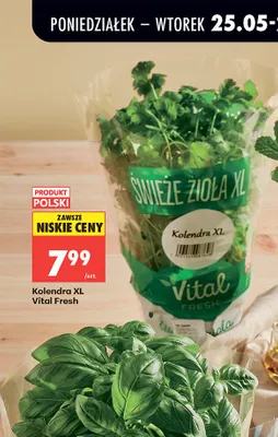 Kolendra XL Vital Fresh promocja w Biedronka
